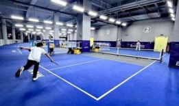 体育圈的天花板,巅峰时刻的辉煌与挑战